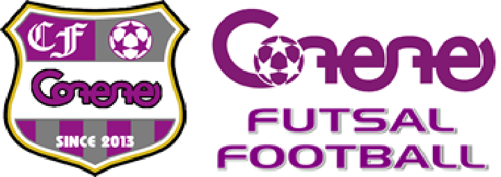 一般社団法人プロジェクト・コンテンテ